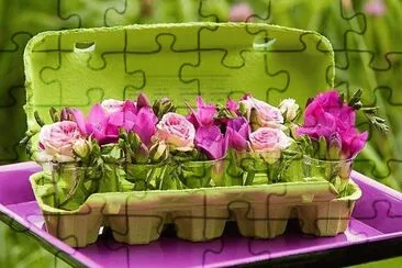 flores