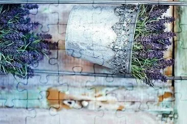 פאזל של flores