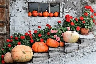 flores