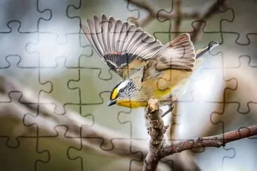 imagem jigsaw puzzle