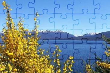 flores jigsaw puzzle