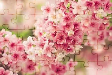 פאזל של flores bellas