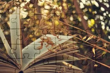 libro en naturaleza jigsaw puzzle