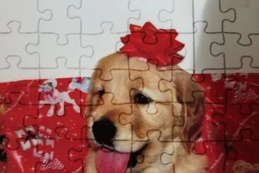 פאזל של animal