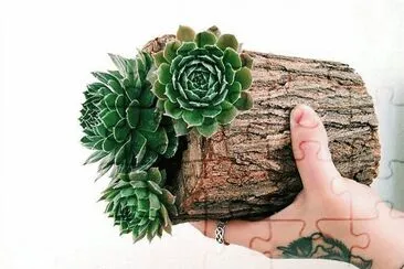 פאזל של natural
