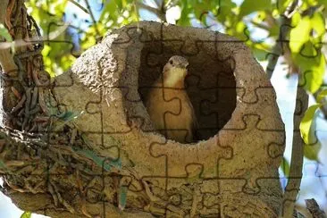 João de Barro jigsaw puzzle