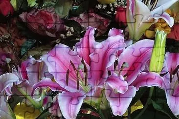 פאזל של flores