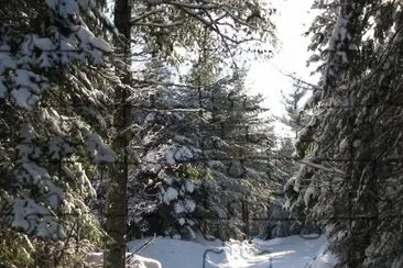 Lots of beautiful trails!