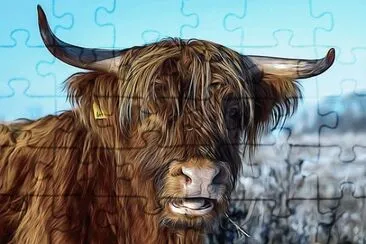 Imagem jigsaw puzzle