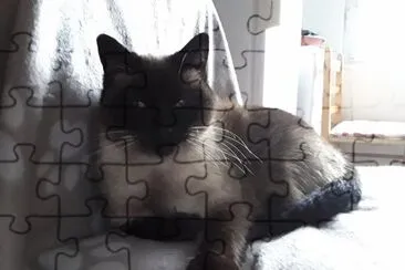 Mia jigsaw puzzle