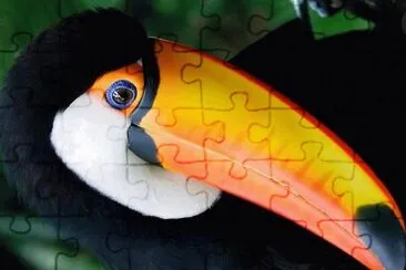 natural jigsaw puzzle
