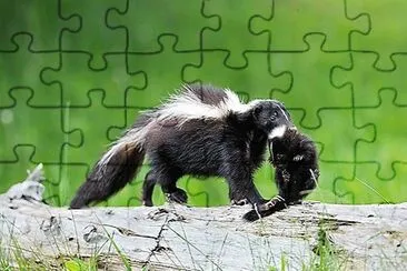 mom#275 jigsaw puzzle