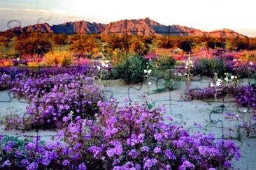 פאזל של Desert  Mountain Flowers-California