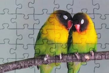 natural jigsaw puzzle