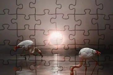 natural jigsaw puzzle
