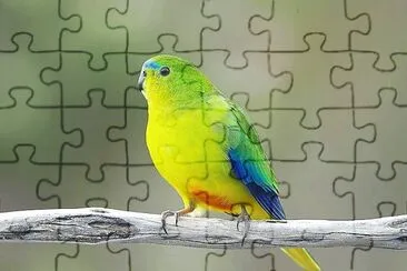 natural jigsaw puzzle