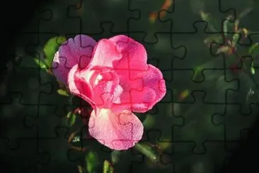 Imagem jigsaw puzzle