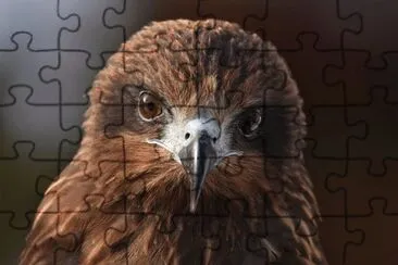Imagem jigsaw puzzle