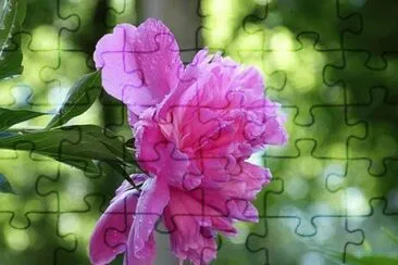 Imagem jigsaw puzzle