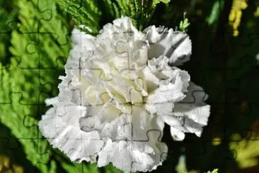 Imagem jigsaw puzzle