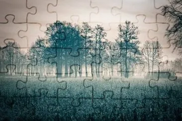 Imagem jigsaw puzzle