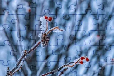 Imagem jigsaw puzzle
