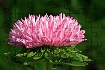Imagem jigsaw puzzle