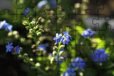 Imagem jigsaw puzzle
