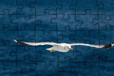 Imagem jigsaw puzzle