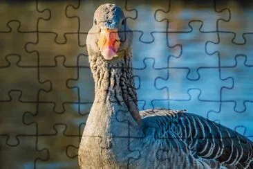 Imagem jigsaw puzzle