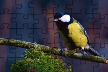 Imagem jigsaw puzzle
