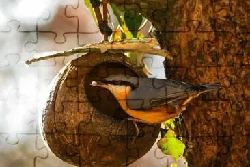 Imagem jigsaw puzzle