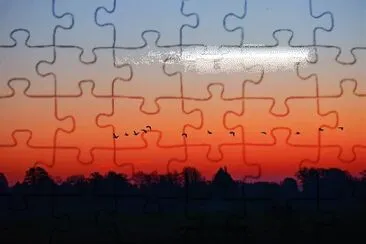 Imagem jigsaw puzzle