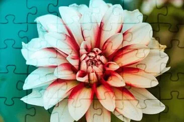 Imagem jigsaw puzzle
