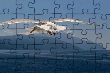 Imagem jigsaw puzzle