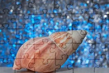 Imagem jigsaw puzzle