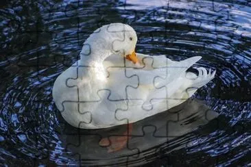 Imagem jigsaw puzzle