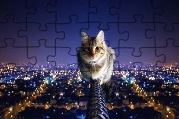  jigsaw puzzle