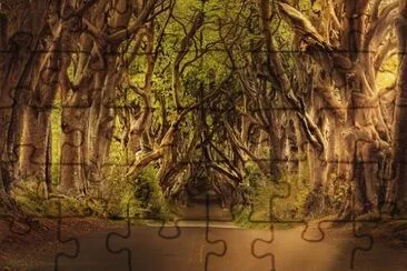 Imagem jigsaw puzzle