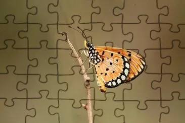 Imagem jigsaw puzzle