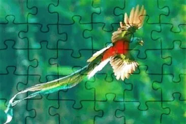 Imagem jigsaw puzzle