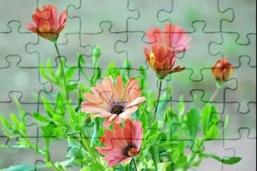 imagem jigsaw puzzle