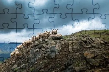 Imagem jigsaw puzzle