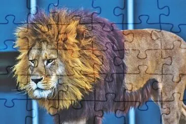 Imagem jigsaw puzzle