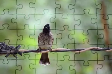 Imagem jigsaw puzzle