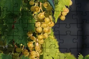 Imagem jigsaw puzzle