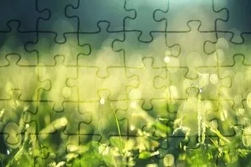 Imagem jigsaw puzzle