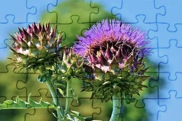 Imagem jigsaw puzzle