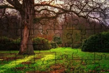 Nature jigsaw puzzle