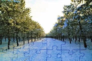 Imagem jigsaw puzzle
